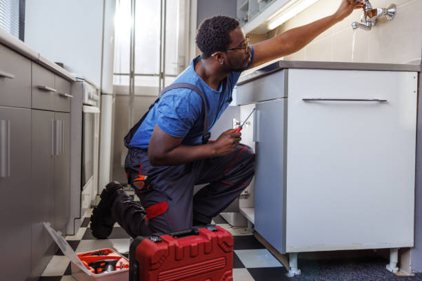 Best Plumbing Inspections & Maintenance in Demorest, GA